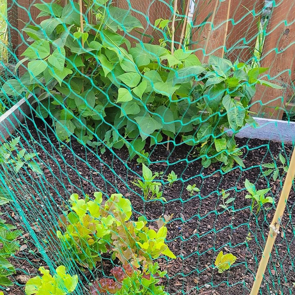 Large Garden Anti Bird Netting Green Heavy Duty Mesh Pond Pool Plant Fruit Tree Protection Net Durable Bird Animal Barrier 5/10M