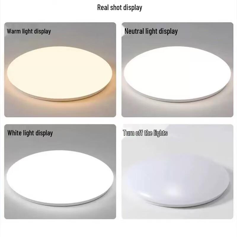 Minimalist Round LED Ceiling Lamp