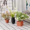 Mini Artificial Potted Plant 1:12 Scale Lifelike Fake Greenery Decor for Dollhouse Birthday Gift