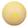 Gravity Intelligent Rolling Ball Interactive Pet Toy Ball Self Propelled Cat Ball for Kitten Dog