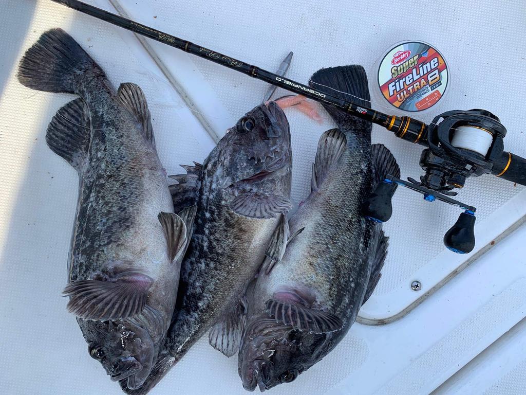 Berkley Super Fire Line Ultra 8 2.0/30lb 150m Crystal PE Line/Super Line/Sea Bass Line