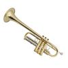 Heavy-Duty C Key Brass Instrument: Two-Color, Flexible Keys, Easy to Play for Adults, Beginners & Professionals