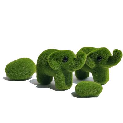 Ev Dekoru – Dekoratif Terraryumlar