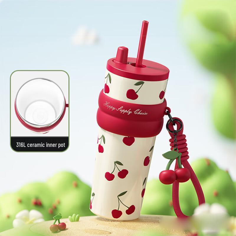 ShiDaJia Aurora Starry Night Insulated Straw Cup