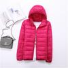 Damen Leichte Daunenjacke mit Kapuze - Winterkollektion, Übergröße verfügbar