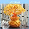 Exquisite Feng Shui Money Tree Featuring Yellow Citrine And Amethyst Crystal Leaves