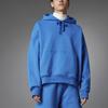 Adidas Originals Blue Version Collection Sweatshirts Men's Blue Hooded Moderate Regular H33459-
