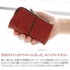 Baggy Port Key Case, Full Chrome Two-Tone Wash, Red