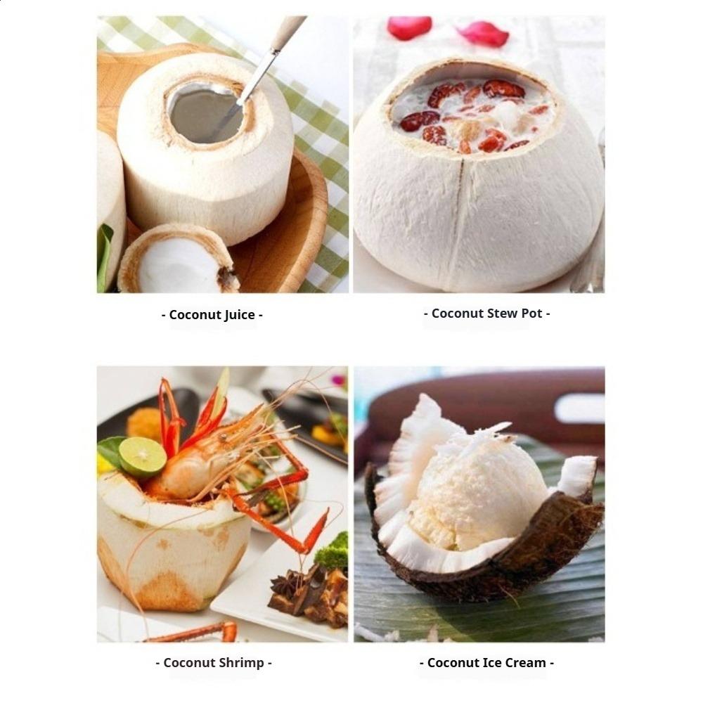 Stainless Steel Coconut Opener Single Piece Removes Whole Top from Young Green Coconuts No Mess Kitchen Tool