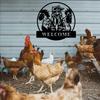 Personalized Chicken Metal Sign Custom Farmhouse Wall Art