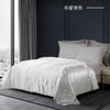 MERCURY Antibacterial Tussah Silk Quilt