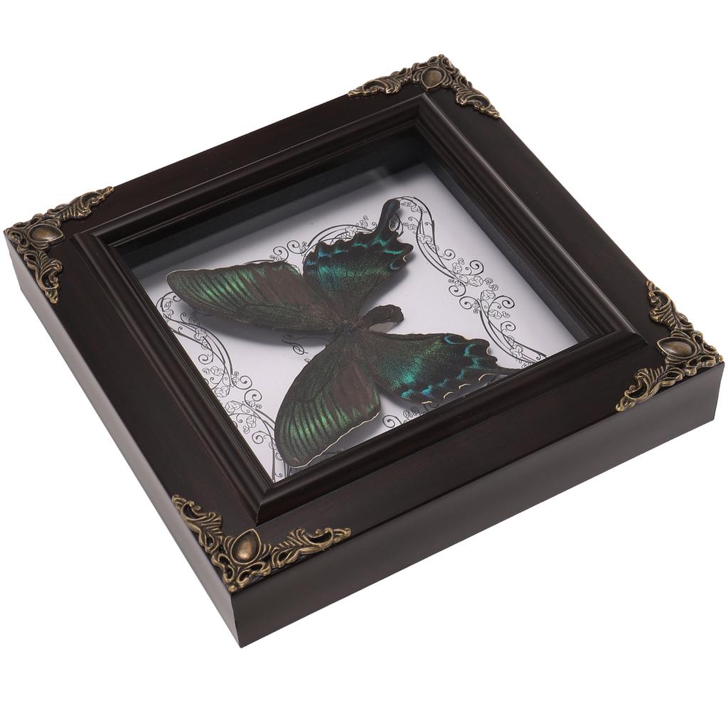 Rámeček na fotografii s motýlím exemplářem Vintage dekorace Hmyz Kancelářský zarámovaný set Nastavení obrázku Domácí ozdoba Dřevěný nástěnný závěsný display box