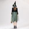 The Wizard of Oz Vintage Witch Mesh Dress Costumes, Halloween Costumes
