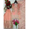 Bellissimo Salwar Kameez Pakistano da Festa Designer Bollywood Top Tuta Sharara