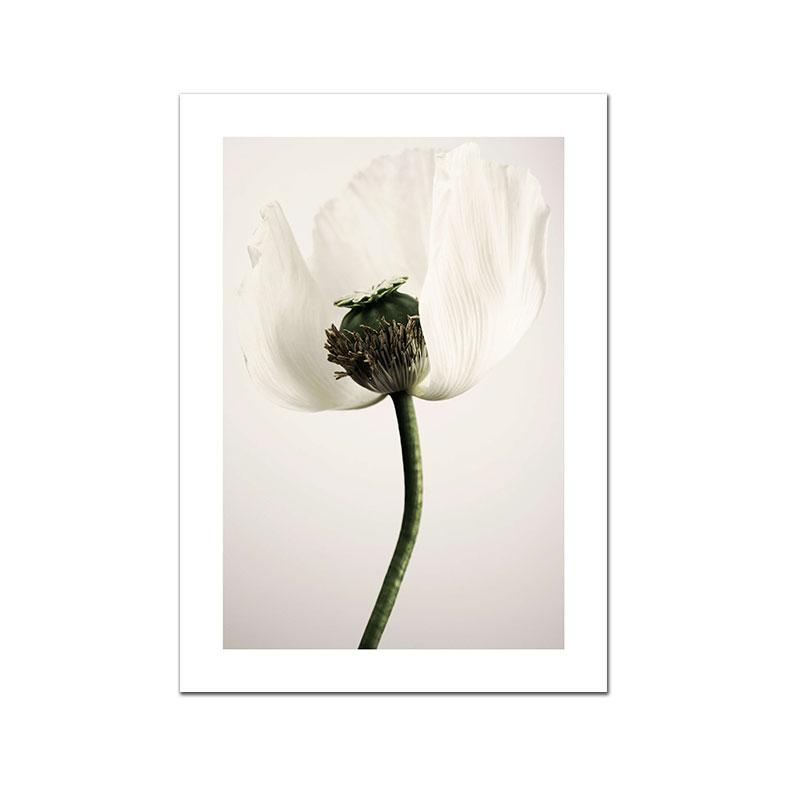 White Pink Red Flower Posters and Print Beatiful Peony Lily Poppy Canvas Painting Modern Wall Art Picture Living Room Decoration