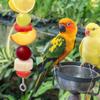 5PCS Bird Cage Feeder Stainless Steel Bird Food Holder Parrot Fruit Vegetable