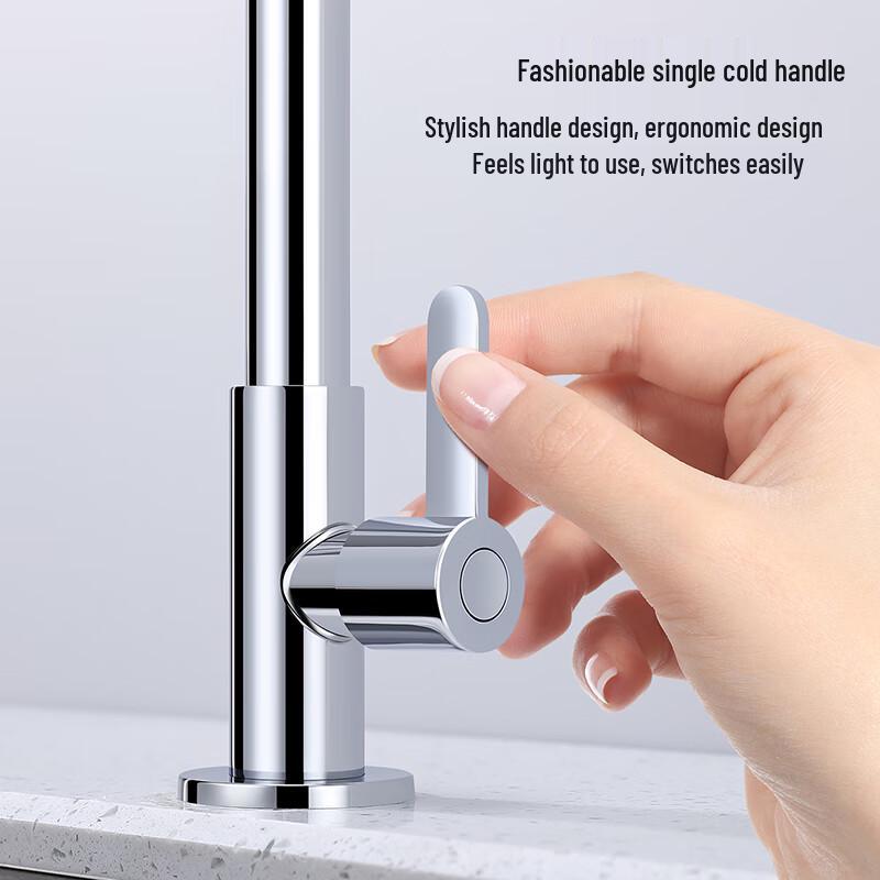 Laier Shidan Single Cold High Arc Rotatable Kitchen Faucet