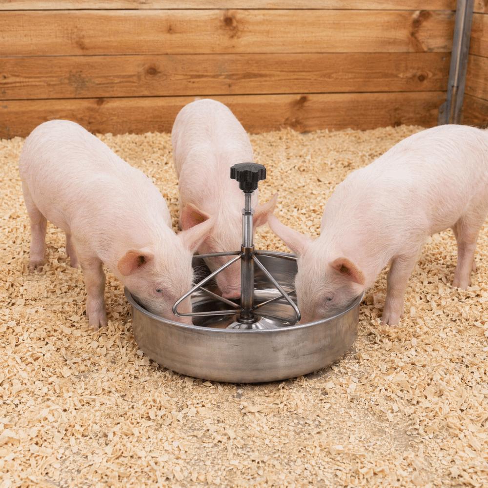Multiple Feeding Positions Livestock Feeding Trough Durable Farm Animal Trough Livestock Feeding