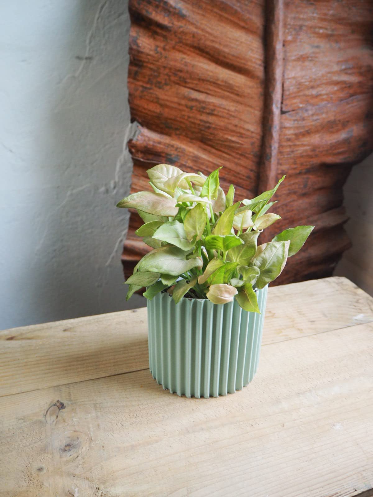 

cardboard pot cover for ornamental plants [KAKOU] No. 3 x 3 pieces (Sky Blue, Apricot, Smoky Pink)