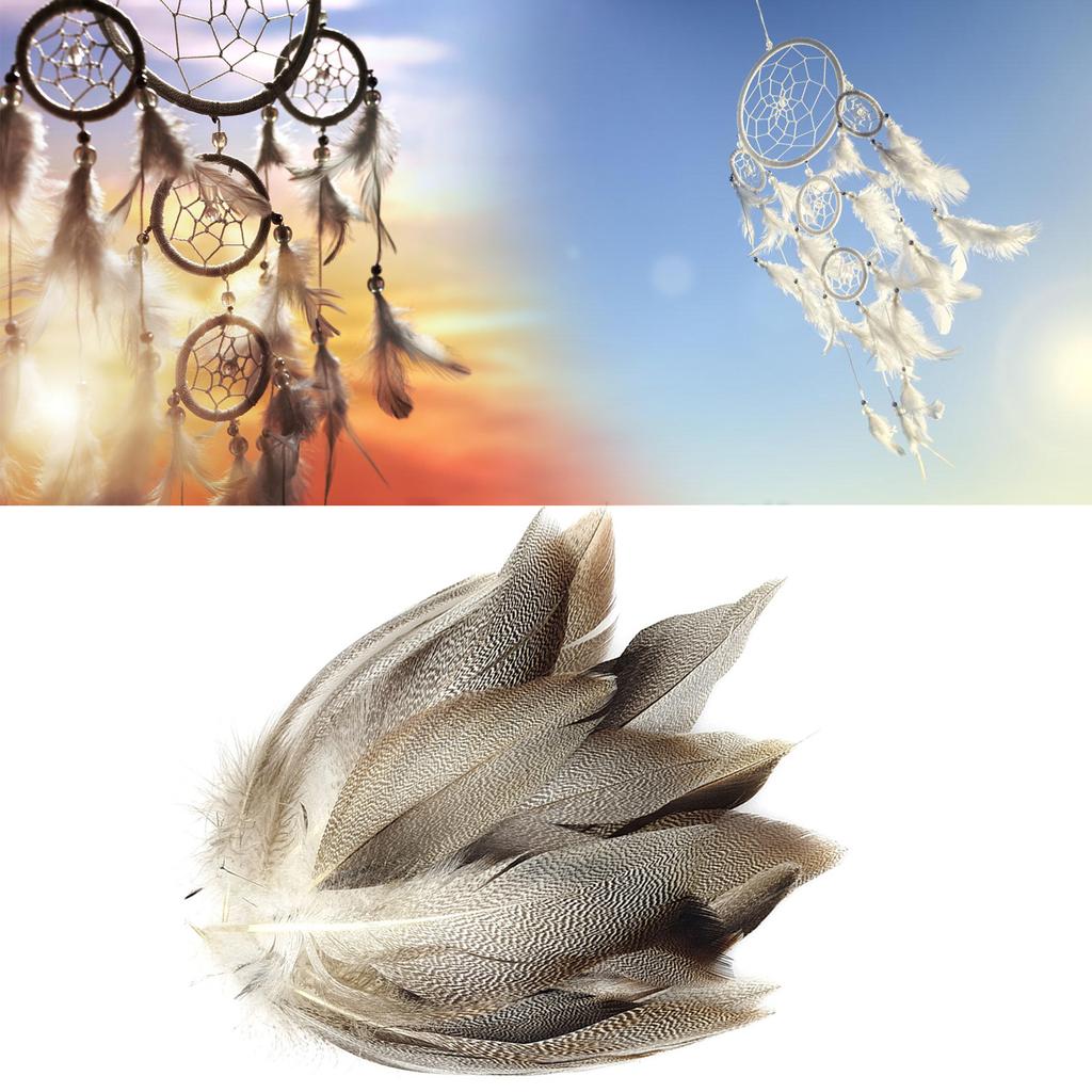 Confezione da 50 Piume di Anatra Selvatica 4-12 cm Piume Naturali per Costumi Cosplay Matrimoni Feste Decorazioni di Halloween