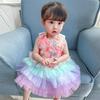 Children's Lace Long Sleeve Puff Dress - Baby's 1st Birthday/Baptism Gift for Girls 2025