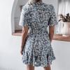 Floral Printed Women's Summer Dress Chic V Neck Short Sleeve A Line Ruffled Pleated