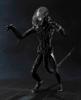 S.H. Monster Arts Alien Big Chap Approx. 180mm PVC&ABS&diecast Painted Movable Figure