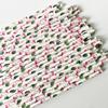 Individually Wrapped Biodegradable Striped Paper Straws
