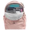 THE NORTH FACE Borealis 27L Outdoor Bags Recycled Nylon Pink Moss & Silver Metallic Women's NF0A81E7-BHI