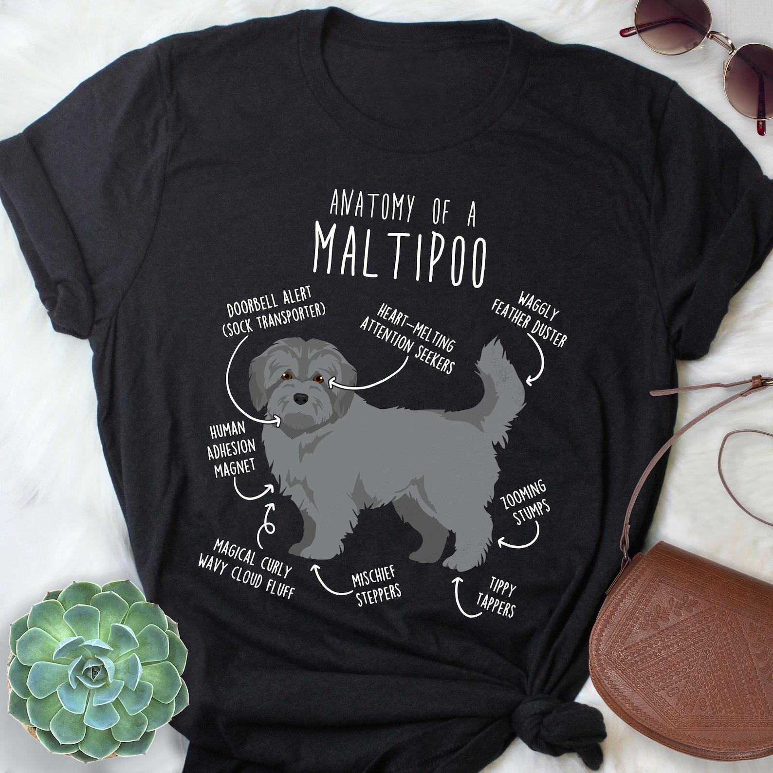 Silver Maltipoo Shirt, , , Funny Maltipoo Dog Lover Gift, Cute Gray Maltipoo T-shirt, Doodle Poodle Mix Tshirt Pet Tee Mom Dad 150