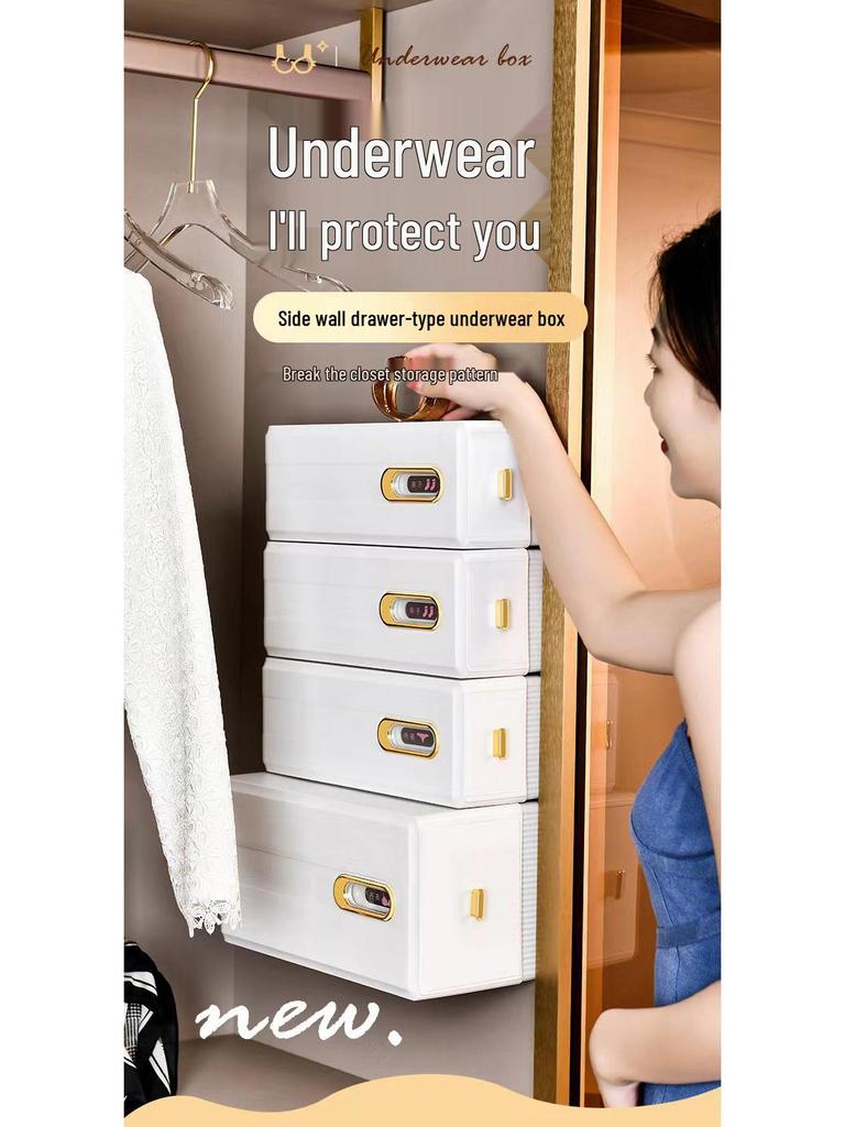 Wandmontierter Schubladen-Organizer: Aufbewahrungsbox für Unterwäsche und Socken