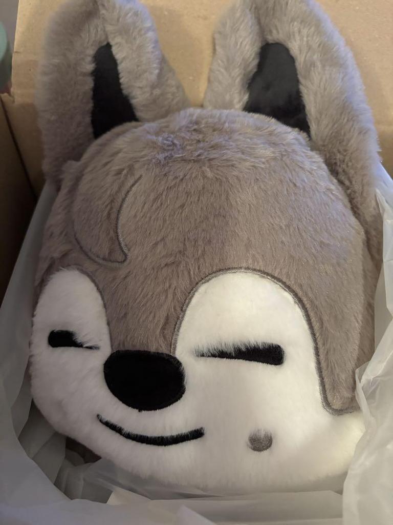 [USED] Straykids SKZOO Teddy Bear Wolfchan Teddy