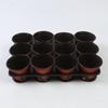 1PC Growing Seedling Hole Tray Phalaenopsis Tray 12-hole Flower Seedling Pot Bracket