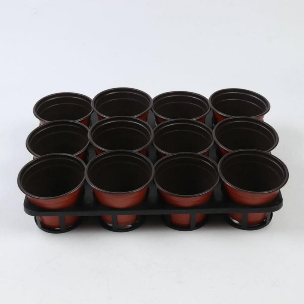 1PC Growing Seedling Hole Tray Phalaenopsis Tray 12-hole Flower Seedling Pot Bracket