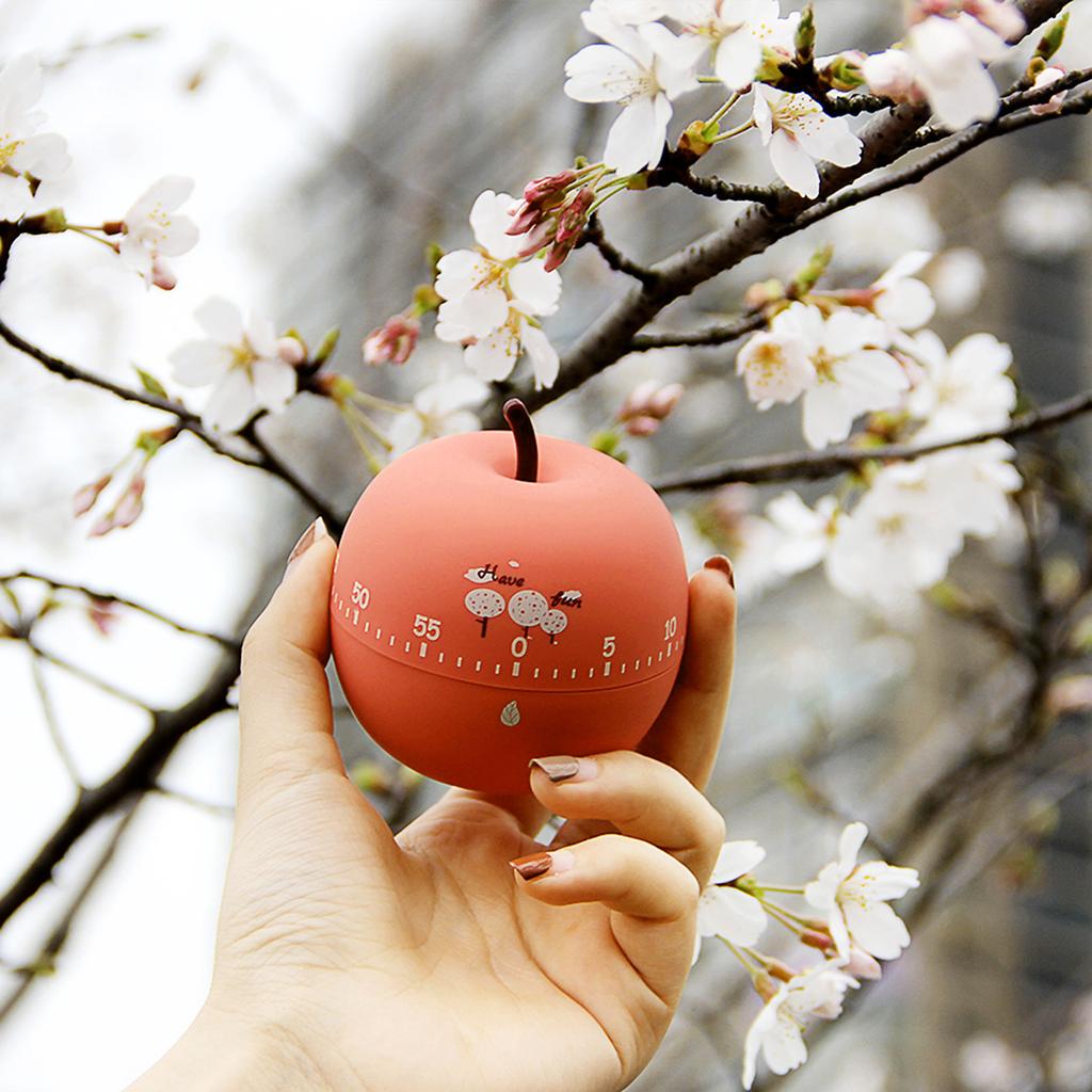 Kitchen Timer Cute Fruit Cookie Kitchen Timer Cute Kitchen Cookie Timer Kawaii Fruit Strawberry Shape Mechanical Timer