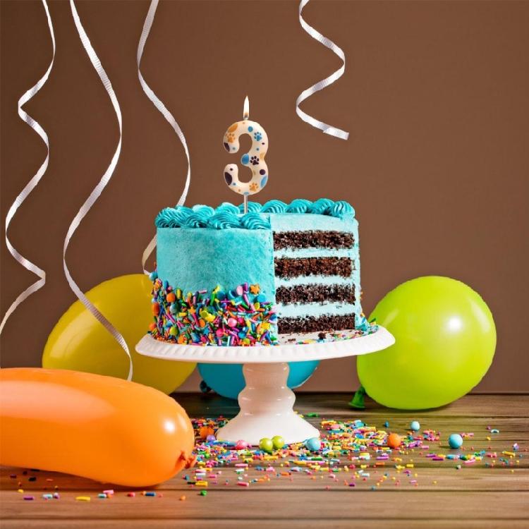 Hundtassar Tema Födelsedagsljus Siffra 0 till 9 Tassar Tårtdekorationer Tassavtryck Födelsedagskalasartiklar