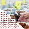 Vegetable Grafting Clips 50 Pcs Plant Trellis Connector Clip Falt Mouth Hooks Connecting Plastic Clips For Watermelon Gardening