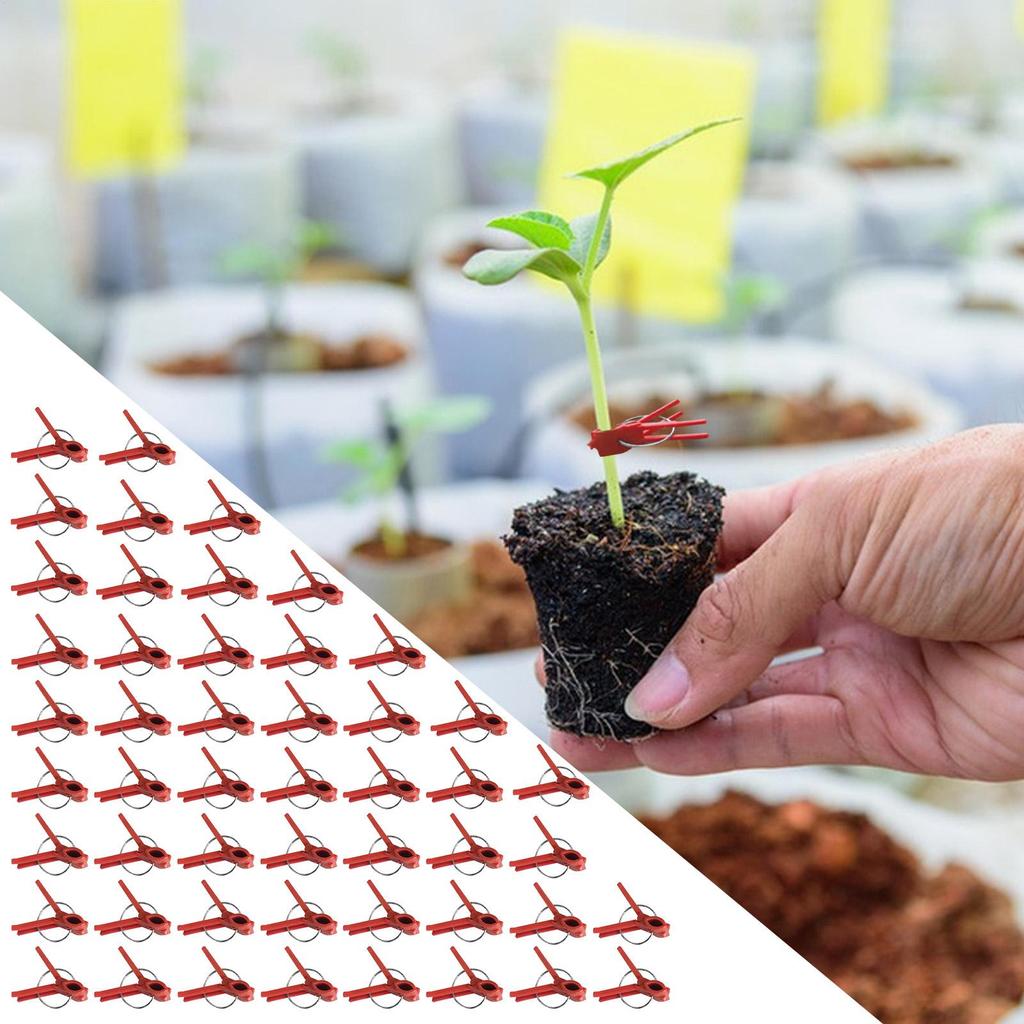 Vegetable Grafting Clips 50 Pcs Plant Trellis Connector Clip Falt Mouth Hooks Connecting Plastic Clips For Watermelon Gardening