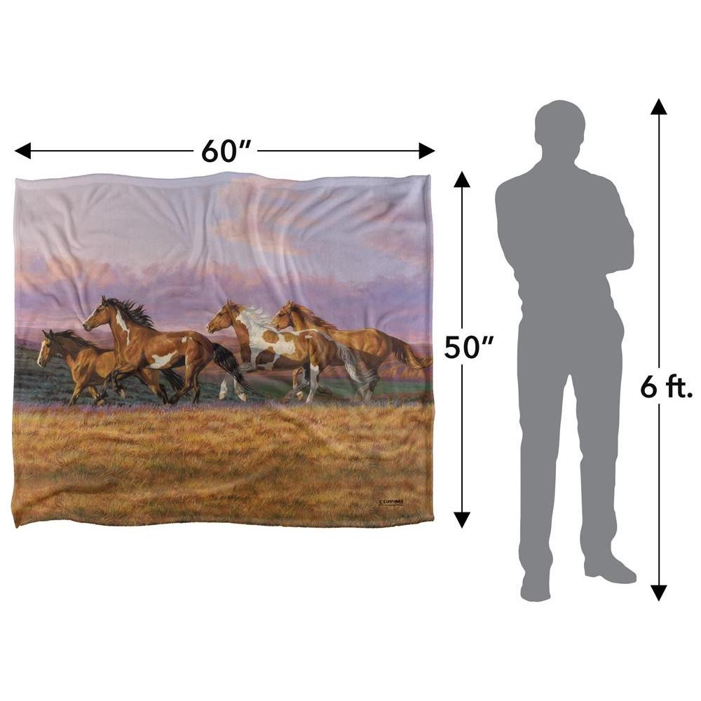 Wild Wings Sunset Cruise 2 Silky Supersoft Blanket