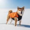 Warm Winter Dog Coat Thick Fleece Pet Jacket Small To Large Breeds Cold Weather Protection Fashionable
