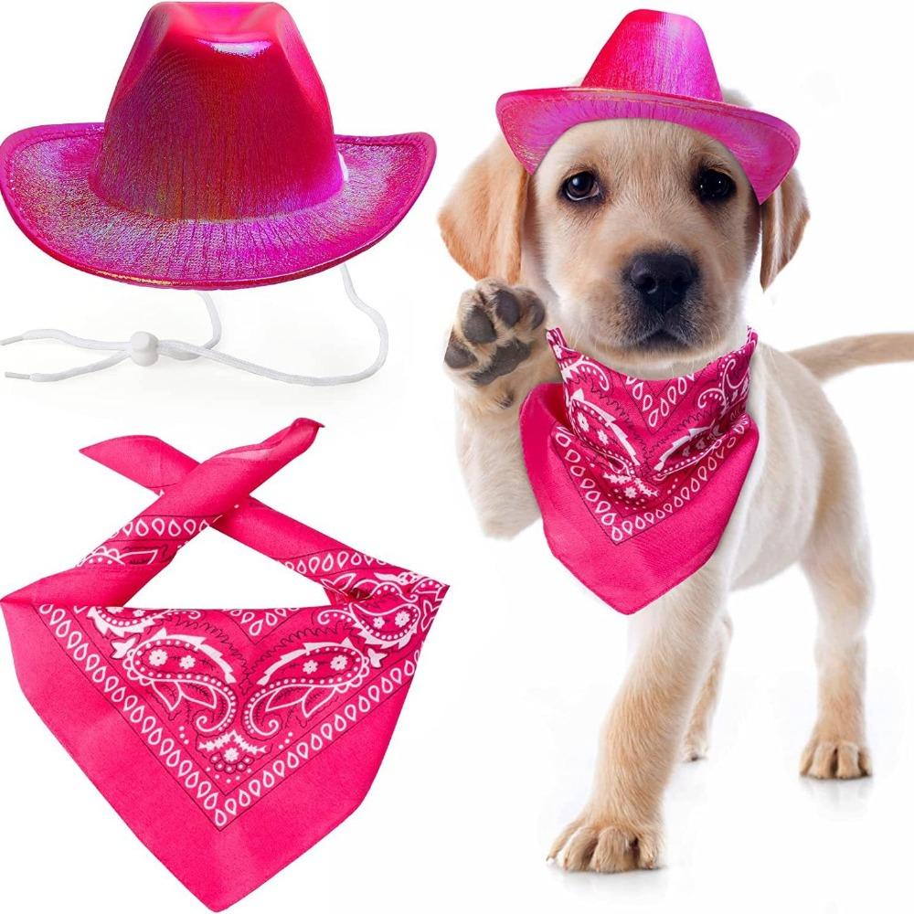 Pet Neon Shiny Space Cowboy Hat Clothing Set Dog Cat Symphony Cowboy Hat Western Cowboy Accessories