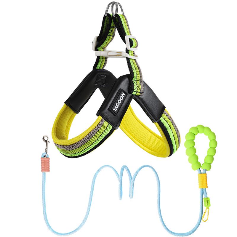 Breathable Color Block Harness & Leash for Small/Medium Dogs - Teddy, Shiba Inu