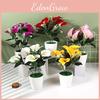 Simulates Aethiopica Zantedeschia Potted Plant Artificial Decoration Flower