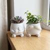 3D Printed Hugging Cat Succulent Planter Pot Happy Expression Novelty Shy Cover Eyes Character Plant Pot Plastic Lifelike