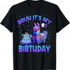 Bruh Its My Birthday Llama Funny Pinata Birthday Boys T Shirt