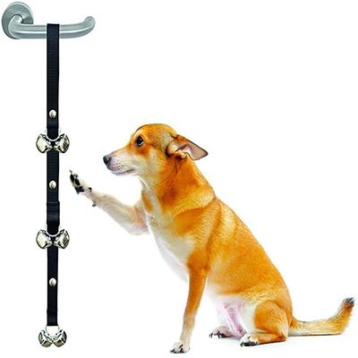 Köpek – Eğitim ve Öğretim Araçları