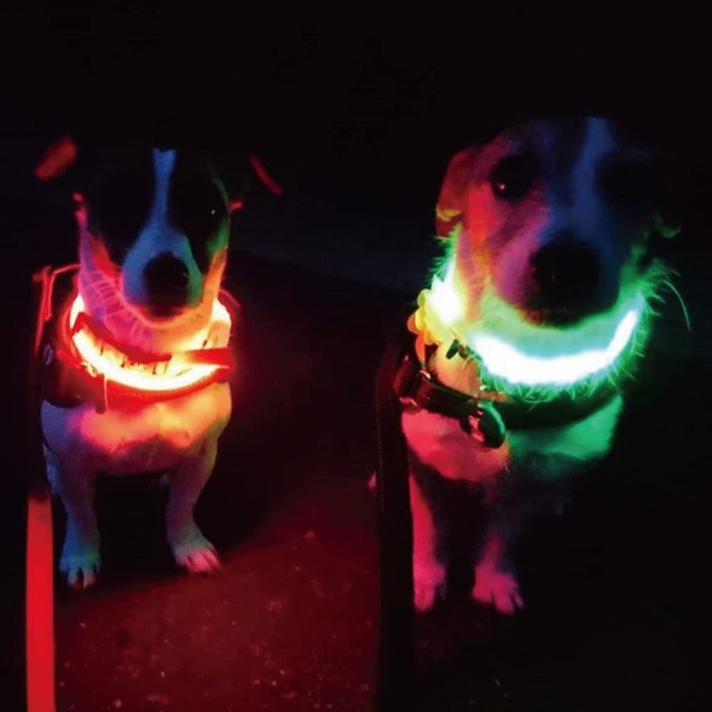 PLATZ PET Hundehalsband Walking Supplies Sicherheitshalsband Gelb 55cm SUPPLISES&FUN