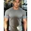 Men Seamless Crew Neck T Shirt Slim Fit Short Sleeve Wave Top For Gym And Casual Wear