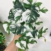 Simulated Plant Fine Workmanship Decorative Realistic Full of Vitality No Watering Decorate Rattan Leaves Long-lasting No Wither Imitation Plant
