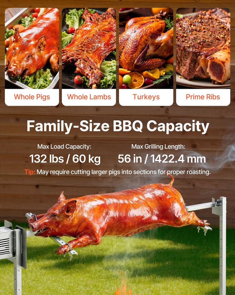 Rotisserie Grill, AC220-240V 8 Level Height Electric Rotisserie Grill Kit, BBQ Grills Rotisseries Kit with 60 kg Load Capacity, 38W Motor, Stainless